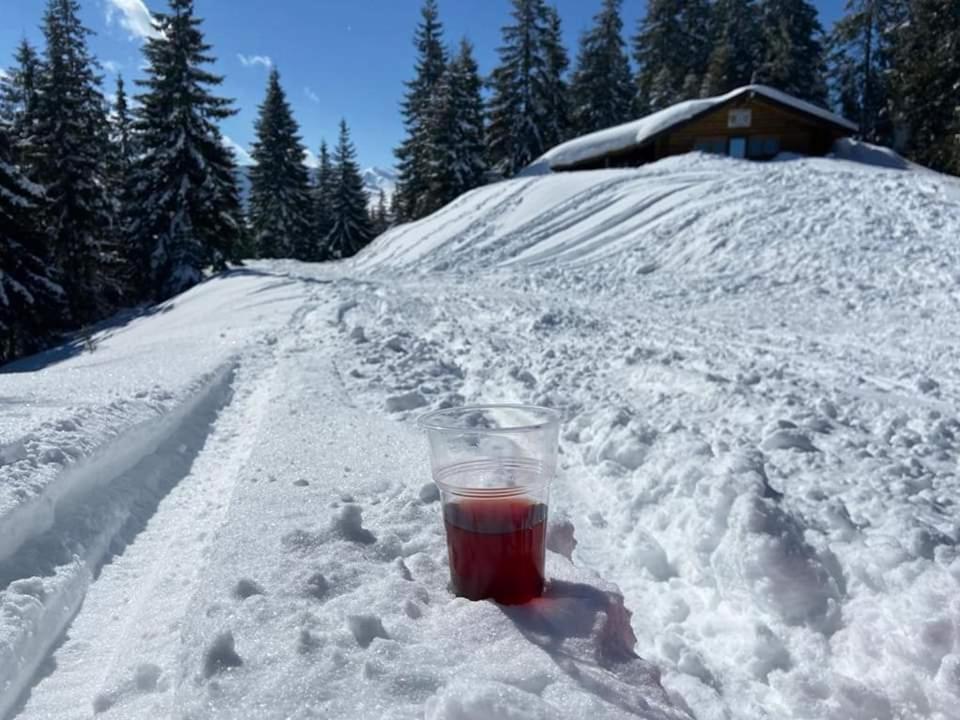 Eco-Tim Daire Moisei Dış mekan fotoğraf